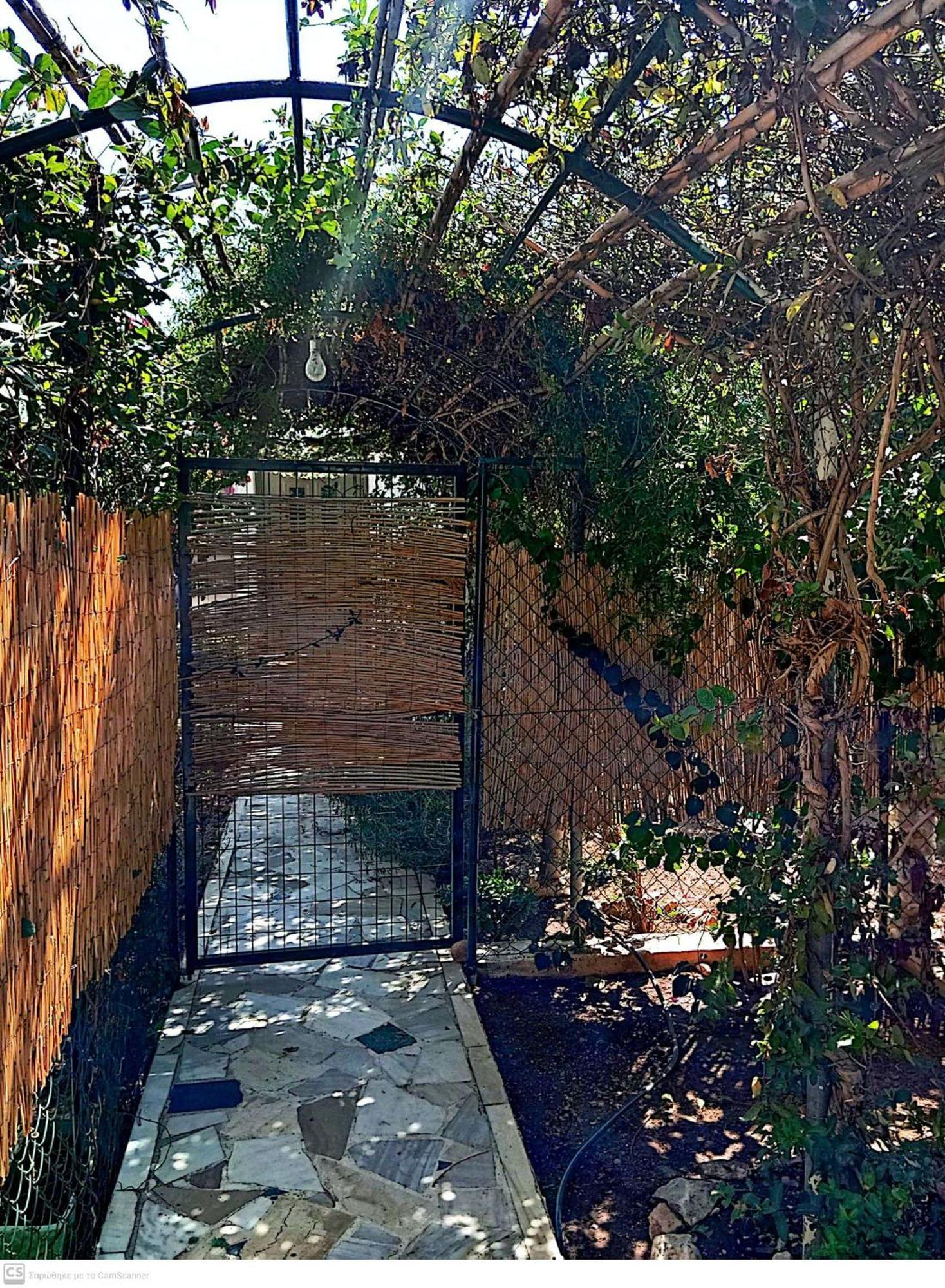 Εξοχικό Maria Villa Ambelakia Eksteriør bilde